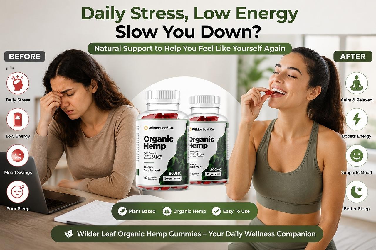 Wilder Leaf Organic Hemp Reviews 2026 &ndash; Natural Formula, Benefits, Price &  How to Use - Rackons - Free Classified Ad in India, Post Free ads , Sell  Anything, Buy Anything