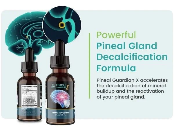 site-vpoh4us3x.godaddysites.com