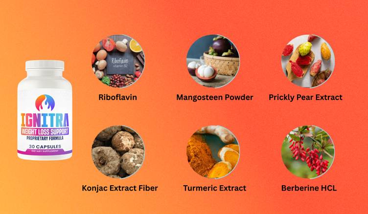 Ignitra Reviews: Is This A Safe Metabolic Support Supplement? Ingredients, Side Effects, And Complaints Analysed Ignitra Reviews: Is This A Safe Metabolic Support Supplement? Ingredients, Side Effects, And Complaints Analysed